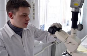 Ученые из Красноярска создали наночастицы, ускоряющие рост растений‍