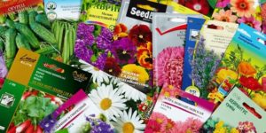 Выбираем семена для цветков