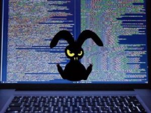 Вирус Bad Rabbit - что за вирус-шифровальшик и как защититься