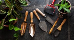 Самые полезные инструменты для работы в саду