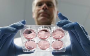 Донорство яйцеклетки