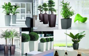 Выбираем пластиковые горшки для цветов