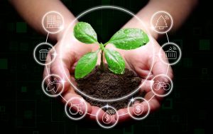 Оценка воздействия на окружающую среду: для чего она нужна