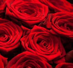 Оформление праздника: что нужно знать