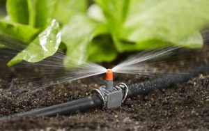 Система автоматического полива: в чем достоинства