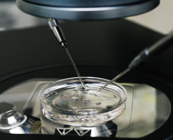 
    5 методик ЭКО: как выбрать подходящую  