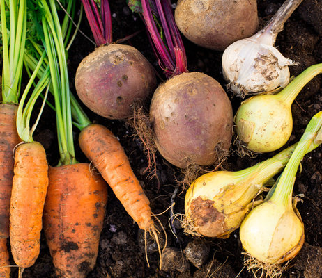 
    6 самых популярных мифов об углеводах  