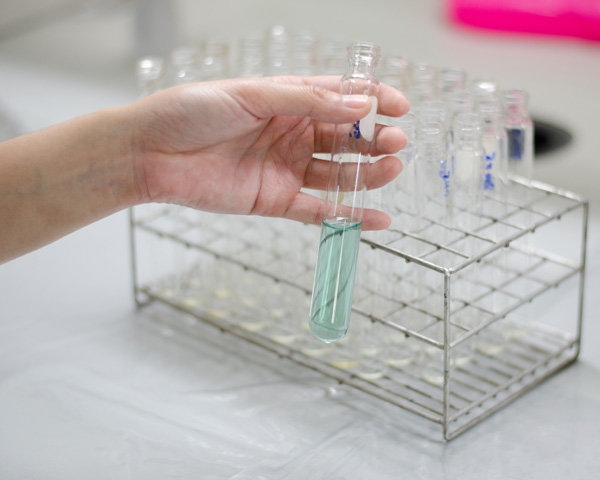 
    Генетическая склонность к полноте: существует ли она на самом деле  