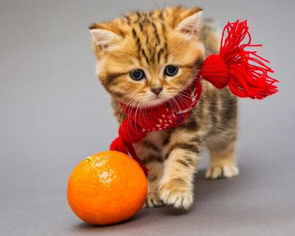 
    7 причин частых простуд, о которых вы не задумывались  