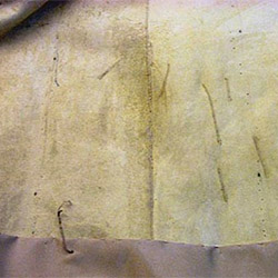 Как правильно выбрать шубу из норки