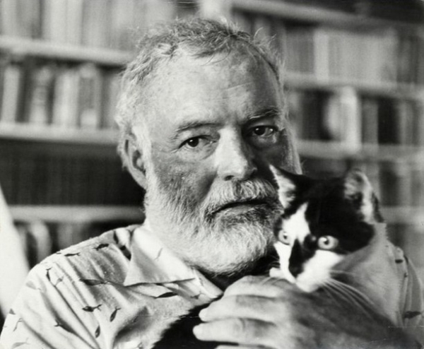 Кто вы, когда выпьете: четыре типа реакции на алкоголь