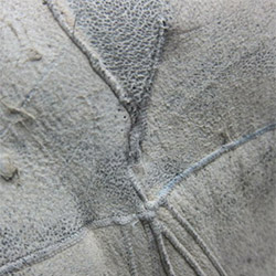 Как правильно выбрать шубу из норки