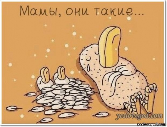 День матери в России 2016: красивые поздравления и открытки к празднику