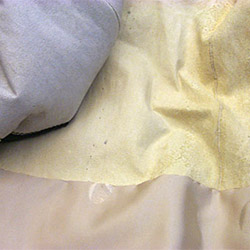 Как правильно выбрать шубу из норки