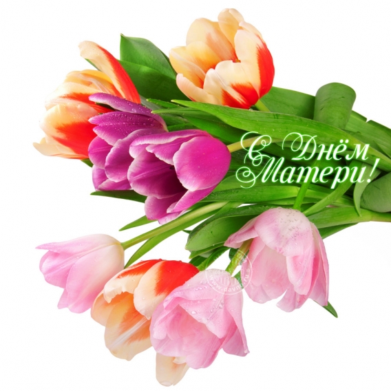 День матери в России 2016: красивые поздравления и открытки к празднику