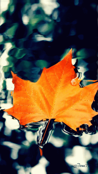 Михайлов день 21 ноября: трогательные поздравления в стихах и прозе, а также красивые открытки с праздником