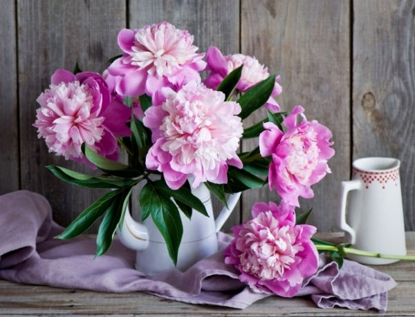 Выходные на майские праздники 2017: как отдыхаем в мае