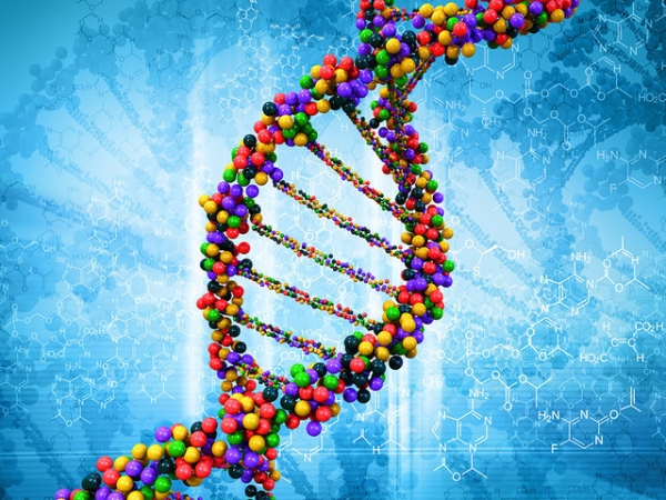 
    Тестирует редакция: индивидуальное исследование ДНК  