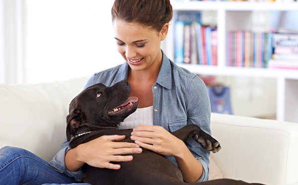15 признаков того, что вам нужен не мужчина, а собака