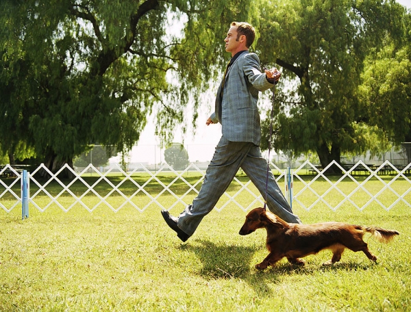 11 физиологических причин влюбленности