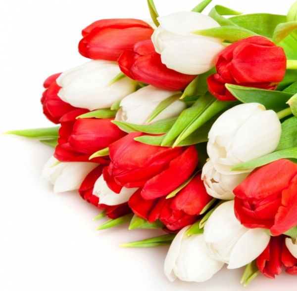 Праздник по слезами на глазах: красивые поздравления ветеранов с Днем Победы