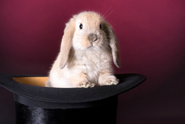 Несравненно прекрасна: как перестать сравнивать себя с другими и зачем это нужно