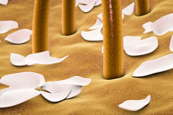 
    Почему опасно спать с мокрой головой  