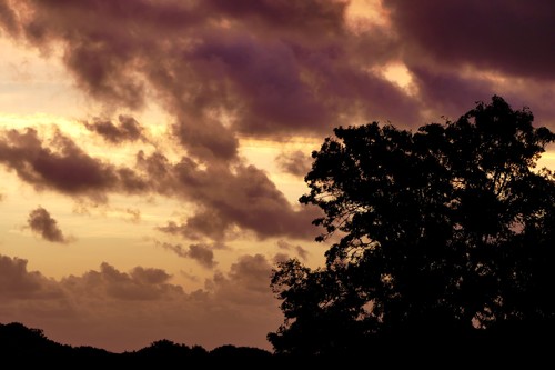 Ваш характер зависит от времени суток, когда вы родились. А вы — знали? 