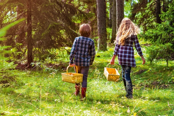 Надо знать. Как не потеряться 