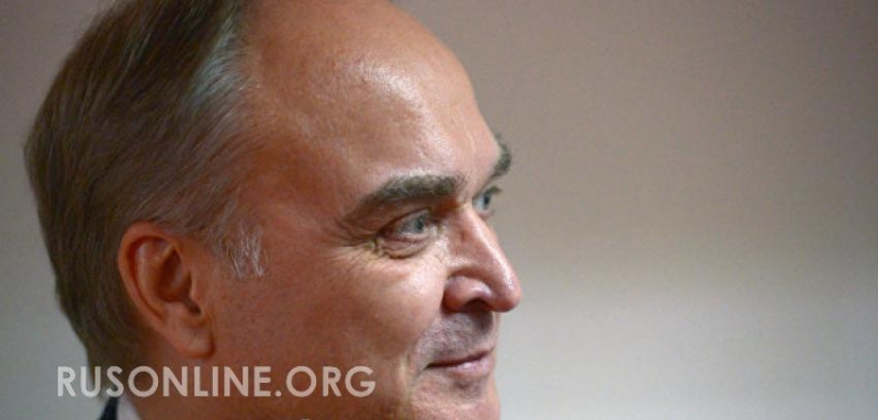 Власти и бизнес штата Юта готовы сотрудничать с Россией, заявил Антонов