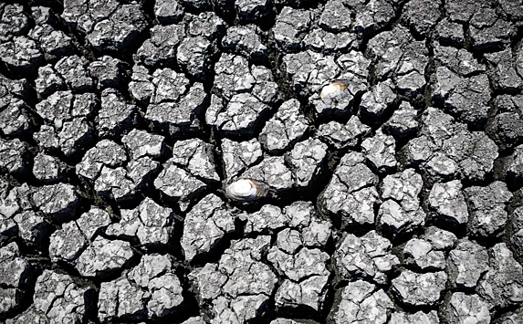 Экологи предсказали катастрофу в США