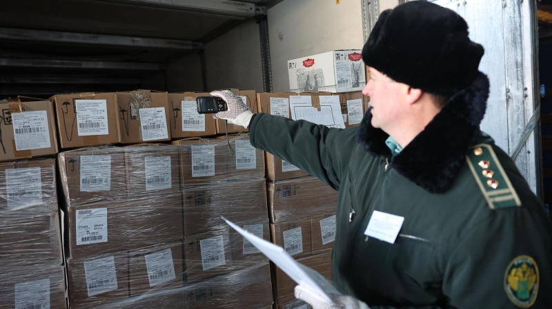 Правительство установило сроки эксперимента по таможенному мониторингу