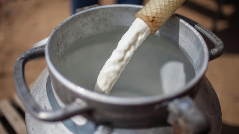 Молдавские СМИ сообщили о резком сокращении производства молока