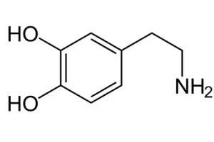 Что такое петролейный эфир? Для чего он используется?