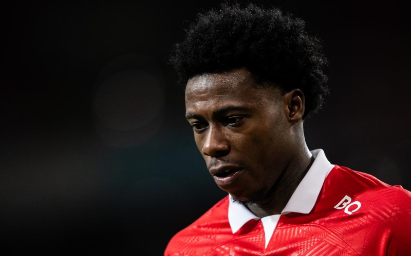 Квинси Промес получил травму спустя четыре минуты после выхода на замену