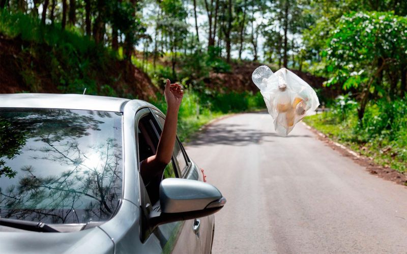 
            Производители пообещали научить камеры штрафовать мусорящих водителей
        