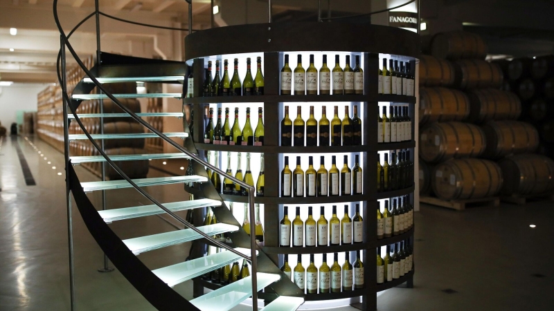 Российские виноделы увеличили производство на десять процентов