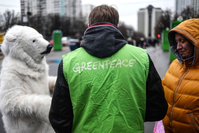 «Тормозят инфраструктурные проекты»: почему Greenpeace стал нежелательным в России 