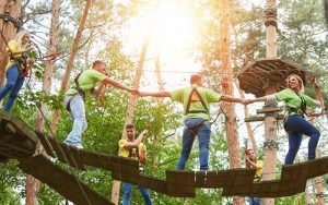 Проведение тимбилдинга: разновидности вариантов