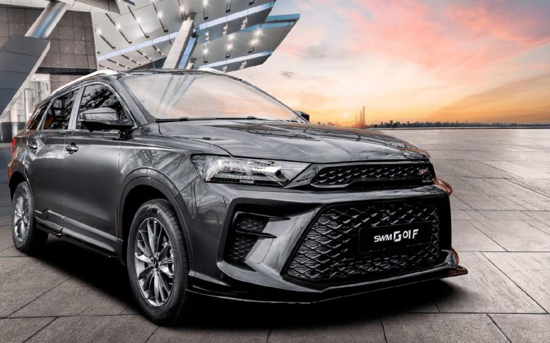 
            Китайская компания SWM сформировала дилерскую сеть в России
        