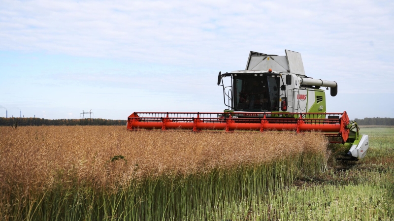 Россия заключила более 750 сделок на поставки продукции АПК в нацвалютах