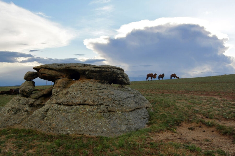 В Монголии нашли 137 очагов чумы. Некоторые из них — на границе с Россией 
