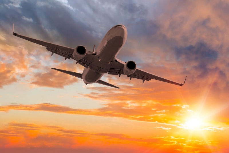 В российские самолеты стали чаще врезаться птицы 