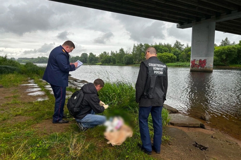 «Ей показалось, что ее детей хотят убить. Решила, что лучше сама» 