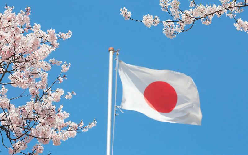 
            Япония запретит поставки в Россию машин с объемом двигателя более 1,9 л
        