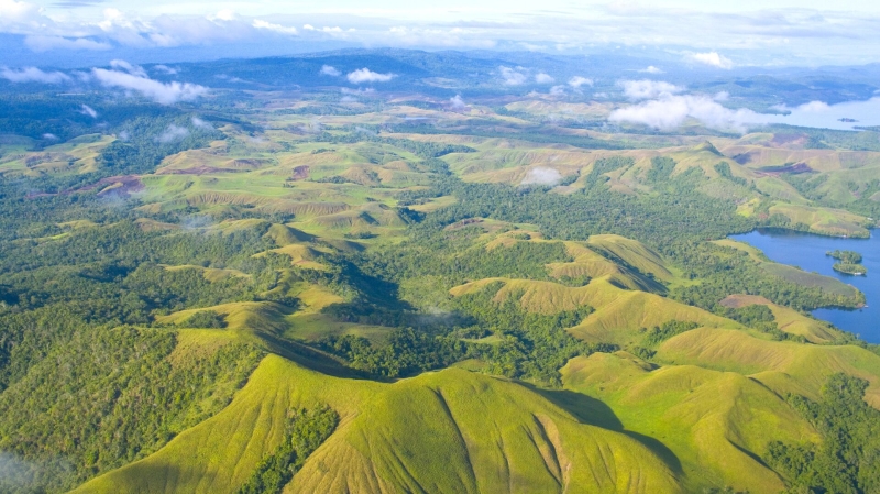 МИД Гвинеи выразил готовность покупать российские зерно и удобрения