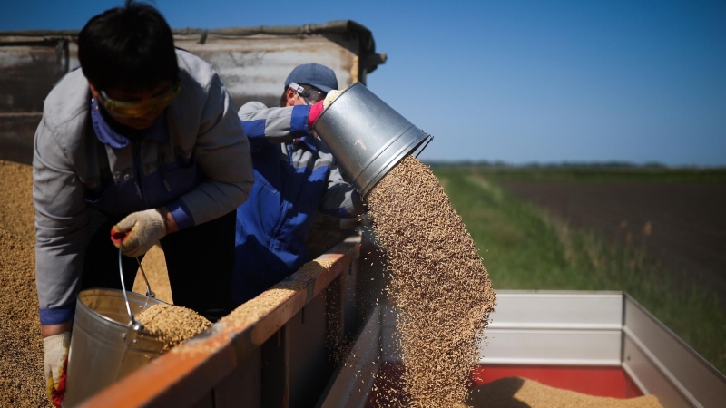 За мобилизованными сохранили доход от сельхозкооперативов