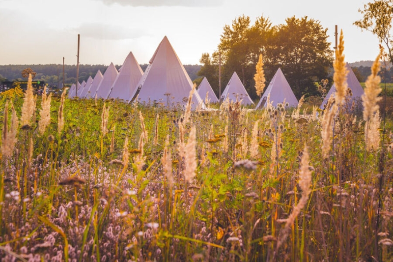 Гастрономический пикник «Август»: гид по фестивалю 