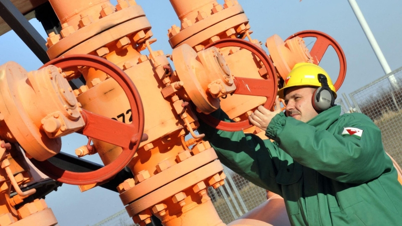 Сербия готова увеличить транзит российского газа в Венгрию