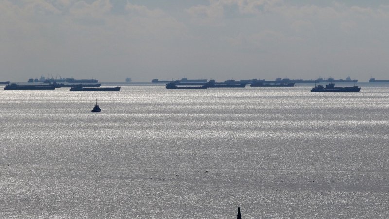 Титов попросил разрешить провоз мягких контейнеров через Керченский пролив